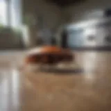 Close-up view of cockroach in a kitchen environment