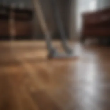 Demonstration of a cleaning technique on hardwood