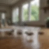 Close-up of common house gnats on a kitchen counter