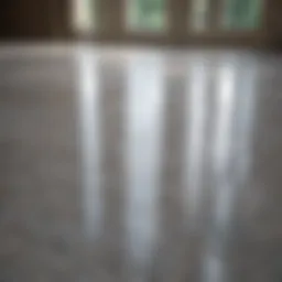 A shiny ceramic floor reflecting natural light
