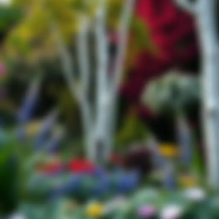 A lush garden featuring Quaking Aspen among diverse flora