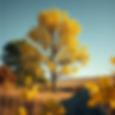 Quaking Aspen tree standing tall in a serene landscape