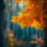 The Splendor of Quaking Aspen in Autumn Vibrant Quaking Aspen leaves in the fall