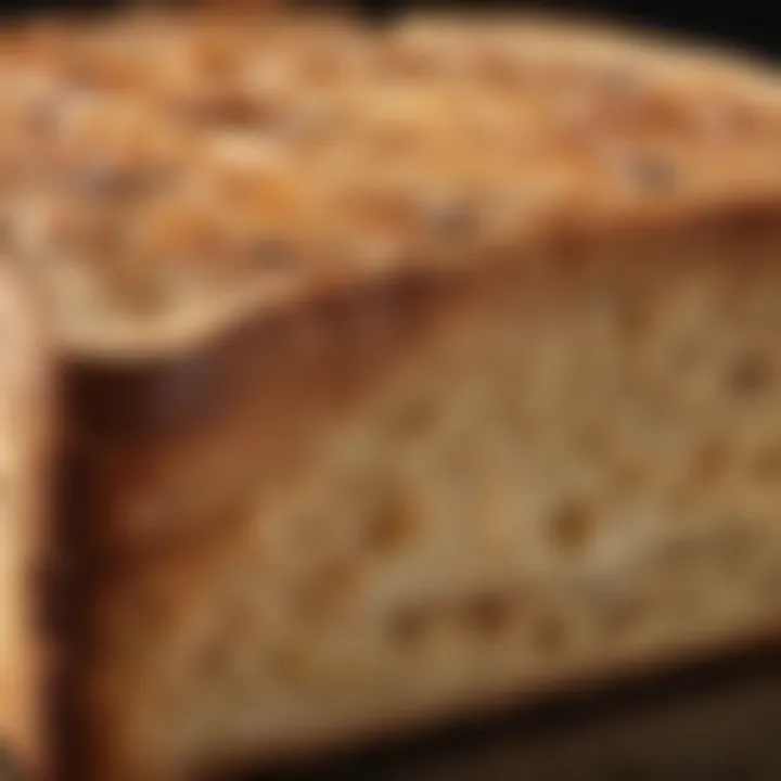 A close-up of toasted bread showcasing perfect browning and texture