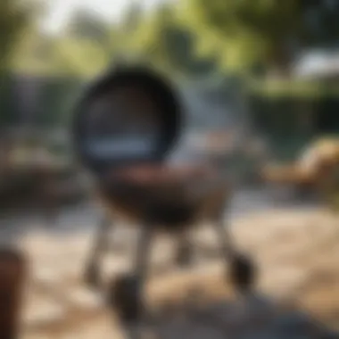 A variety of barbecue grills showcasing different designs and functionalities.