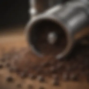 Close-up of coffee grounds showcasing grind consistency