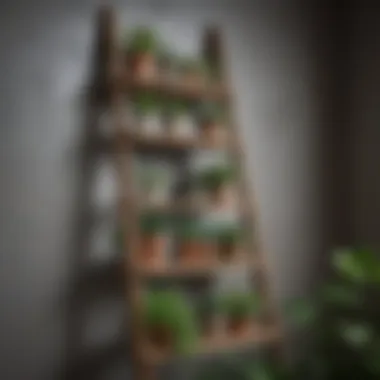 A unique ladder-style shelf made of reclaimed wood, filled with plants and vintage decorations.