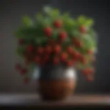 Vibrant strawberries growing in a hanging pot