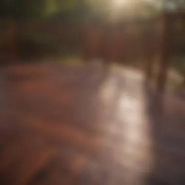 Elegant wooden deck with a rich mahogany stain under sunlight