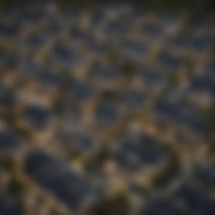 A map highlighting different neighborhoods with marked properties.
