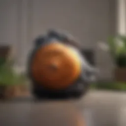 Classic Dyson Ball vacuum model showcasing its unique design
