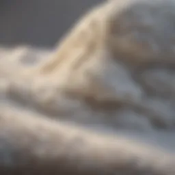 Variety of foam types used in bedding