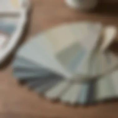 Diverse Color Palette of Magnolia Home Paint Swatches Color palette showcasing various Magnolia Home paint swatches