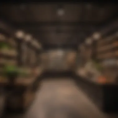 A cozy local retail store filled with unique lighting options and decor items.
