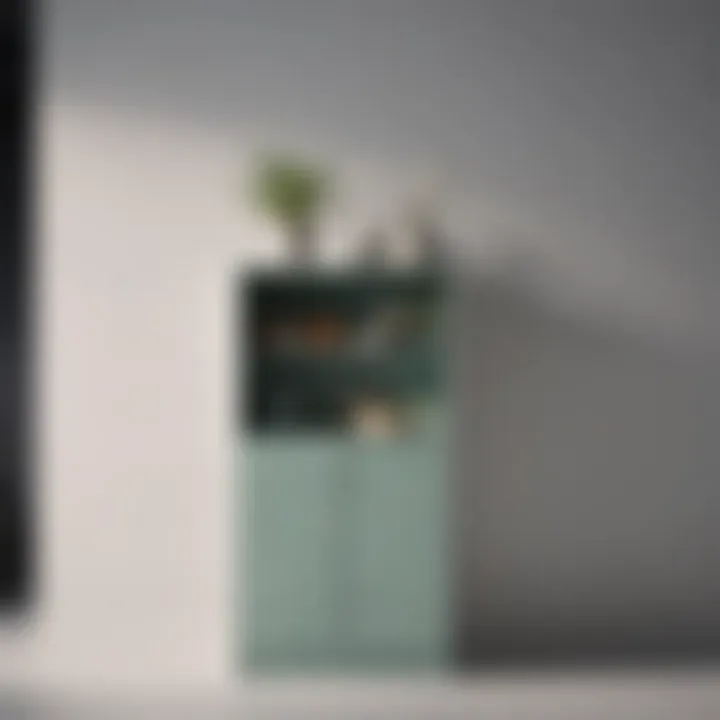 Modern painted cupboard with sleek lines and minimalistic design