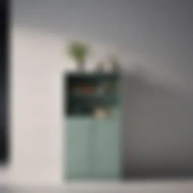 Modern Minimalistic Painted Cupboard Modern painted cupboard with sleek lines and minimalistic design