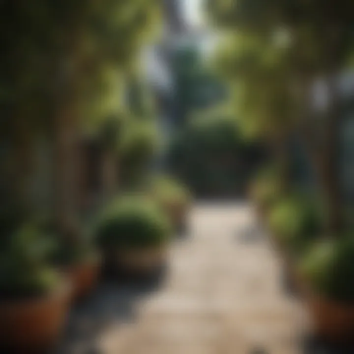 Lush garden filled with dwarf fruit trees