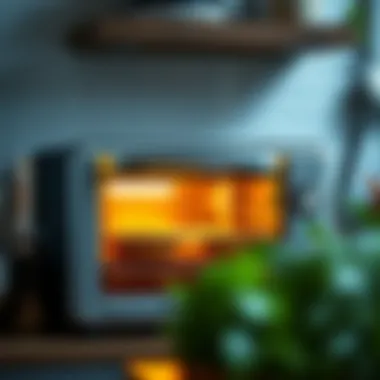 Cuisinart Toaster Oven in Action Cuisinart toaster oven in use, demonstrating its cooking capabilities