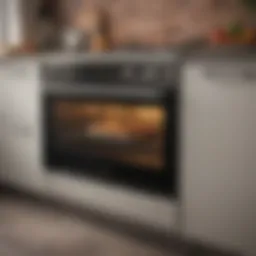 Modern extra large countertop oven with sleek design