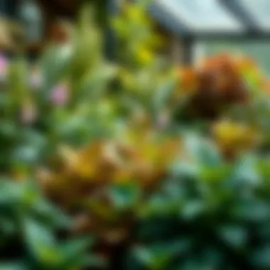 A Flourishing Garden Enhanced by Tea Diverse garden showcasing thriving plants