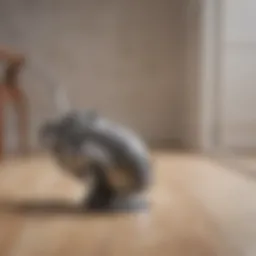 Innovative design of Shark Vacuum Hair Free Roller