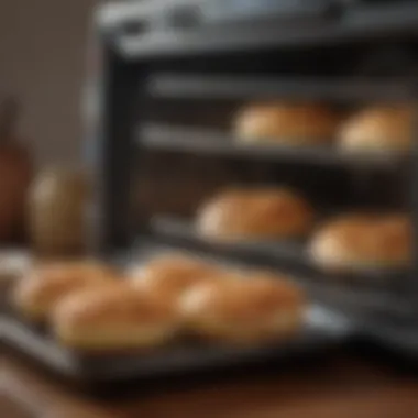 Delicious Baked Goods from a Toaster Oven Freshly baked items from a countertop toaster oven