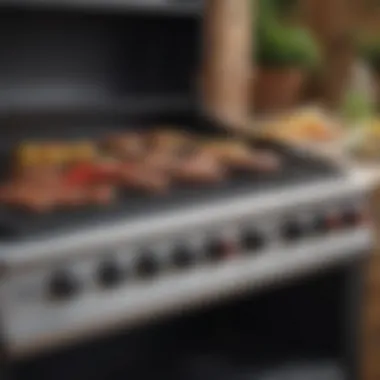 Detailed view of the features of a four burner gas barbeque