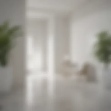 Aesthetic Influence of White Aesthetic impact of white paint in a modern home environment