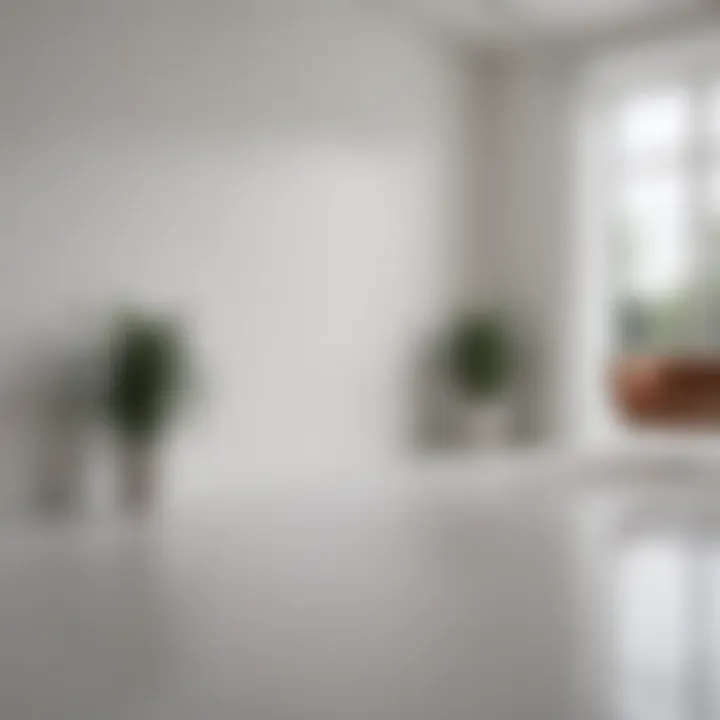 Interior design scene featuring a room painted in the whitest shades