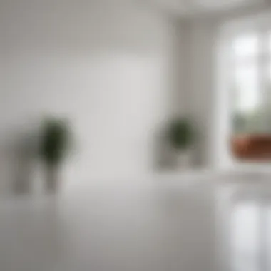 Whitest Paint in Interior Design Interior design scene featuring a room painted in the whitest shades