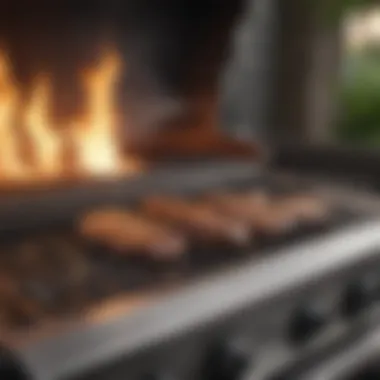 Cutting-Edge Technology in Gas Grilling Innovative grilling technology displayed on a top-tier grill