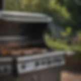 Luxury gas grill with multiple burners and sleek design
