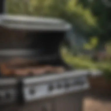 Luxury gas grill with multiple burners and sleek design