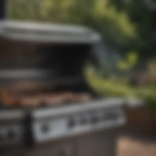 Luxury gas grill with multiple burners and sleek design