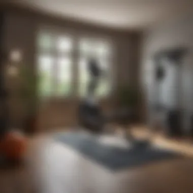Selection of various fitness equipment for home gym