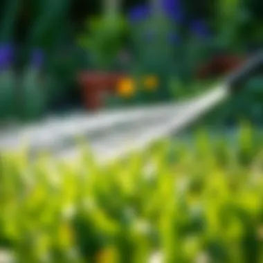 Watering grass with a hose in a garden