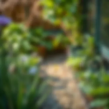 Enhancing Biodiversity in Ecosystems Biodiversity in a sustainable ecosystem