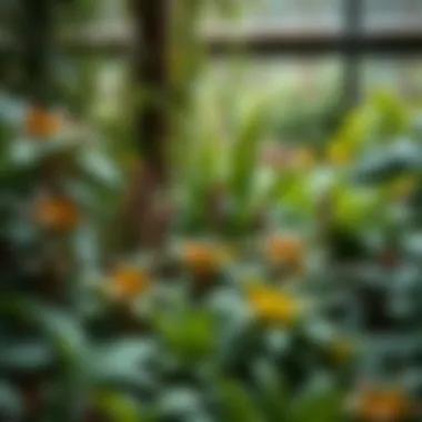 Diverse Plant Life in Permaculture Lush permaculture garden showcasing diverse plant life