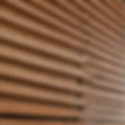 Close-up view of pristine wooden blinds