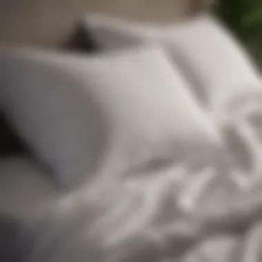 A clean and fresh pillow displayed on a neatly made bed