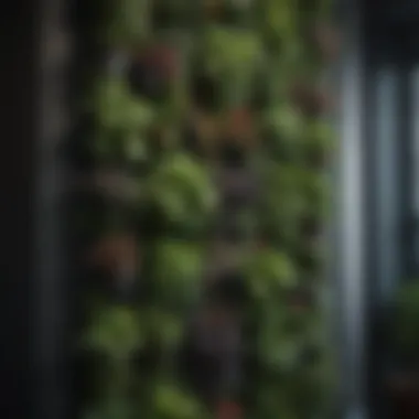 Vertical garden with vibrant plants
