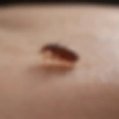 A person examining their skin for bed bugs