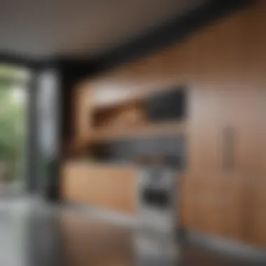 Modern kitchen cabinet design showcasing sleek lines and innovative storage solutions