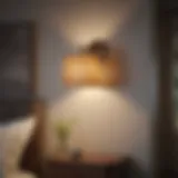 Elegant wall light illuminating a cozy bedroom corner