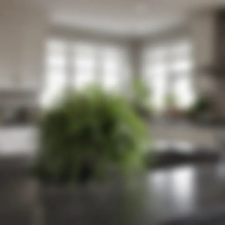A bright kitchen featuring cascading greenery for a fresh atmosphere