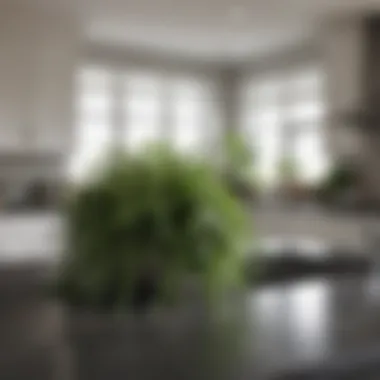 Cascading Greenery in Bright Kitchen A bright kitchen featuring cascading greenery for a fresh atmosphere