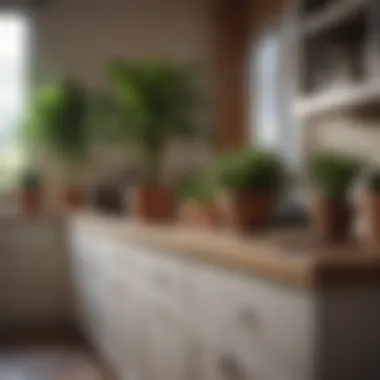 Potted Plants Complementing Kitchen Decor An elegant setup with potted plants harmonizing with kitchen decor