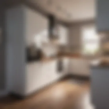Efficient Use of Space Efficient use of space in a compact kitchen with multifunctional furniture