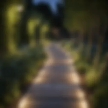 A modern garden path illuminated with stylish lighting fixtures at dusk