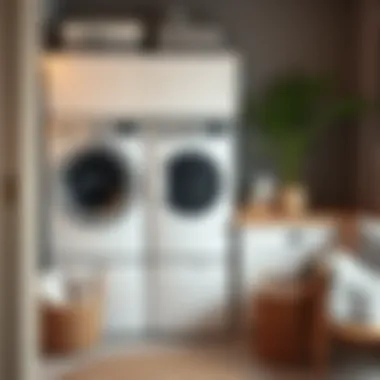 Elegant Laundry Organization Stylish laundry organization in a small apartment